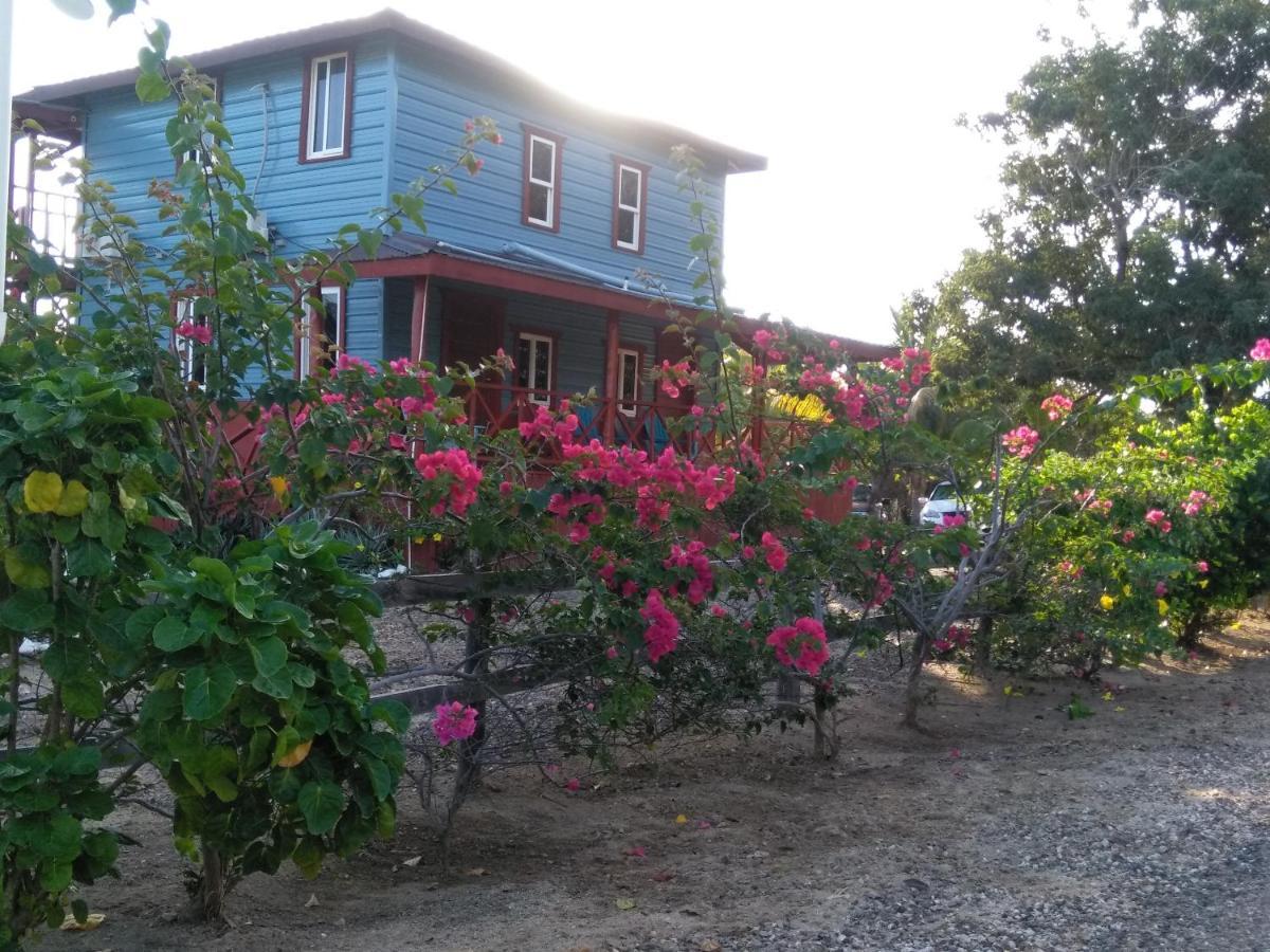 Sugar Patch Inn Hopkins Exterior photo